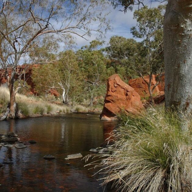 Canning Stock Route