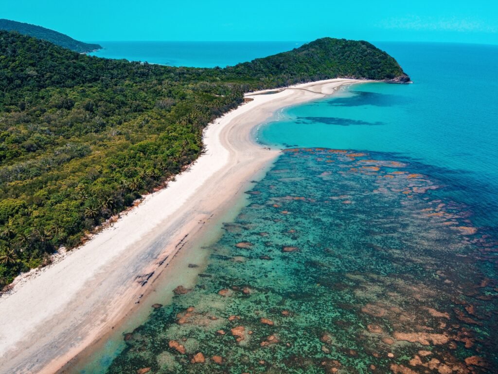 Cape Tribulation QLD