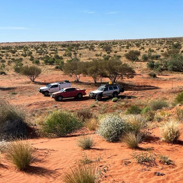 Simpson Desert