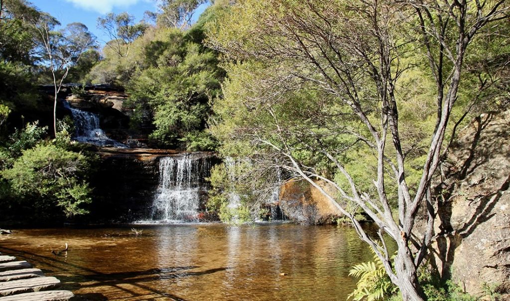 blue mountains