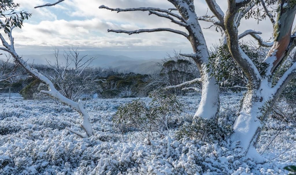 fallscreek