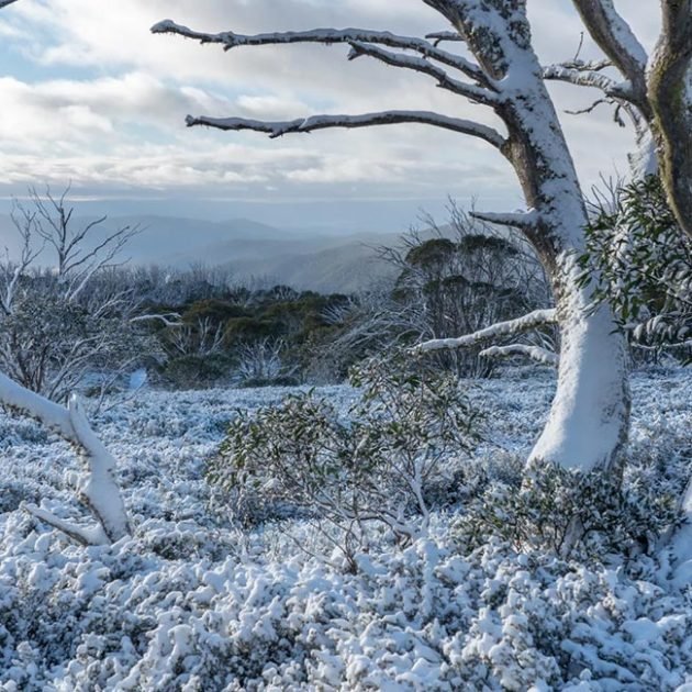 fallscreek