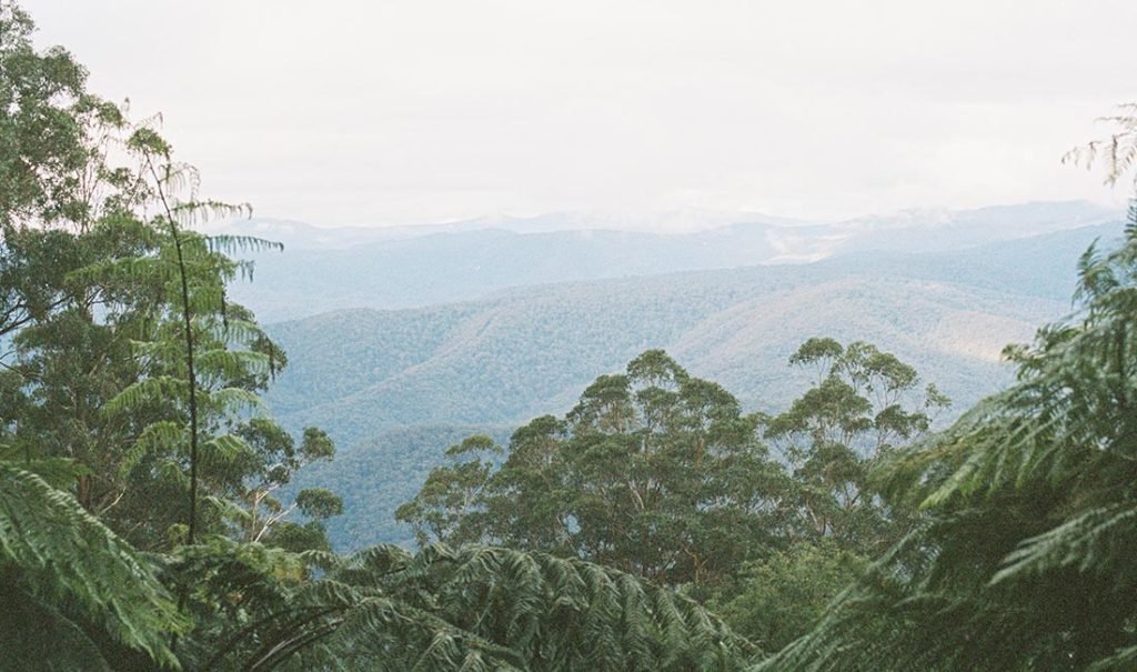 toolangi