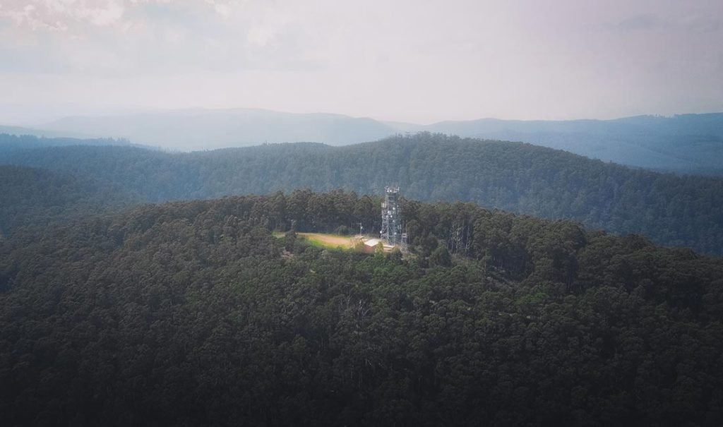 toolangi