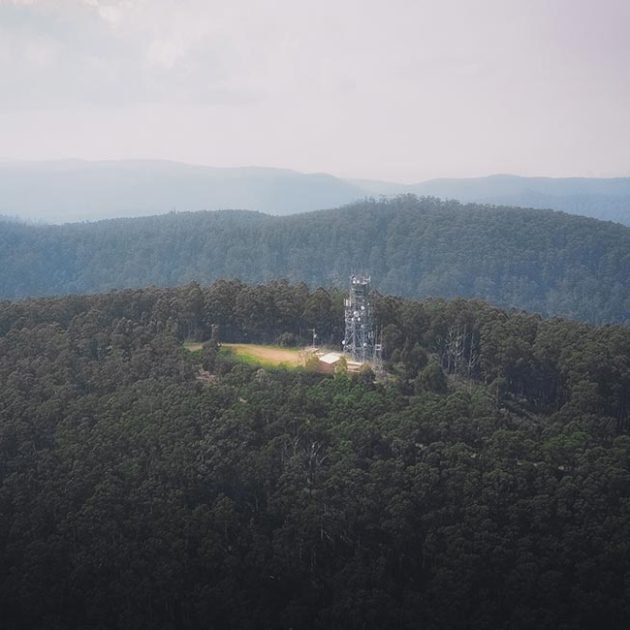 toolangi