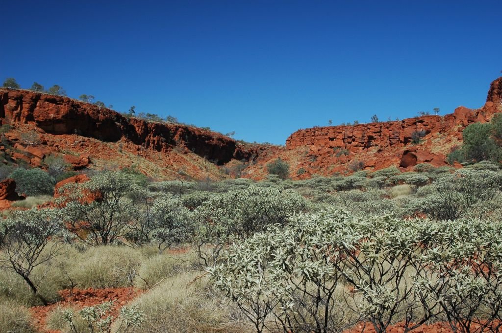 Diebel Hills canning stock route